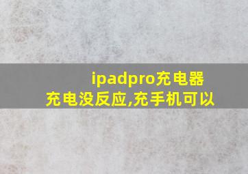 ipadpro充电器充电没反应,充手机可以