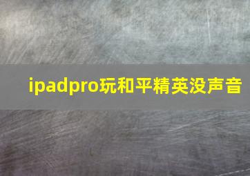 ipadpro玩和平精英没声音