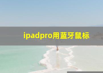 ipadpro用蓝牙鼠标