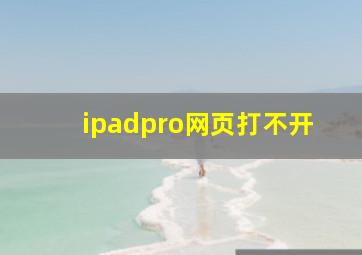 ipadpro网页打不开