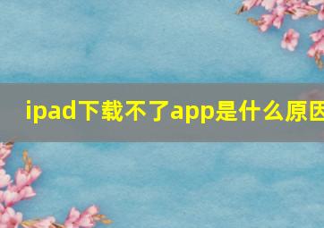 ipad下载不了app是什么原因