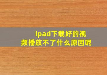 ipad下载好的视频播放不了什么原因呢