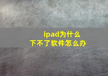 ipad为什么下不了软件怎么办