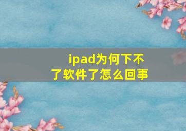 ipad为何下不了软件了怎么回事