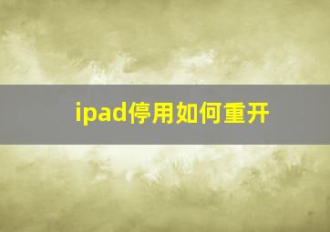 ipad停用如何重开