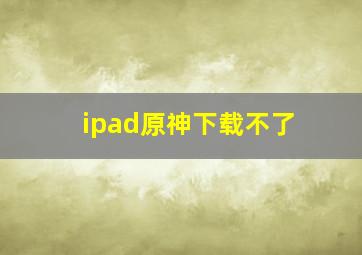 ipad原神下载不了