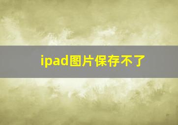 ipad图片保存不了