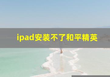 ipad安装不了和平精英