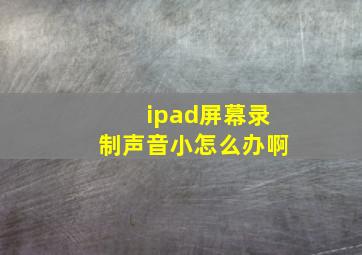 ipad屏幕录制声音小怎么办啊