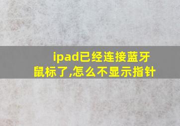 ipad已经连接蓝牙鼠标了,怎么不显示指针