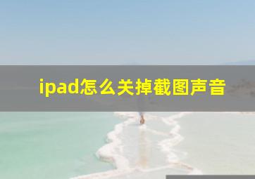 ipad怎么关掉截图声音