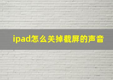 ipad怎么关掉截屏的声音