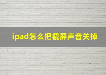 ipad怎么把截屏声音关掉