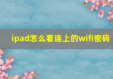 ipad怎么看连上的wifi密码