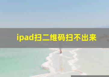 ipad扫二维码扫不出来