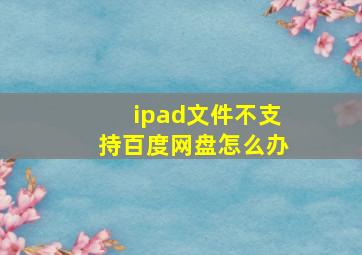 ipad文件不支持百度网盘怎么办