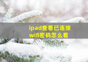 ipad查看已连接wifi密码怎么看