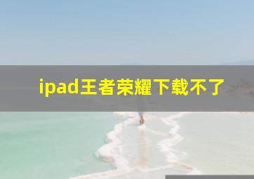 ipad王者荣耀下载不了