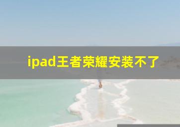 ipad王者荣耀安装不了