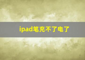 ipad笔充不了电了