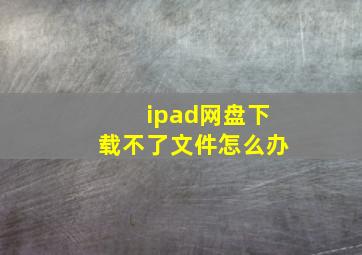 ipad网盘下载不了文件怎么办