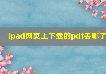 ipad网页上下载的pdf去哪了