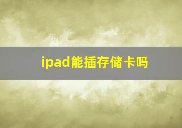 ipad能插存储卡吗