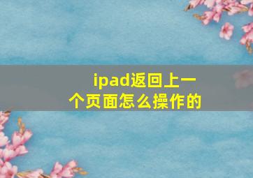 ipad返回上一个页面怎么操作的