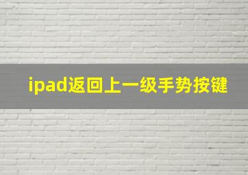 ipad返回上一级手势按键