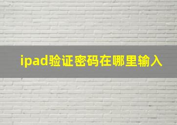 ipad验证密码在哪里输入