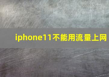 iphone11不能用流量上网