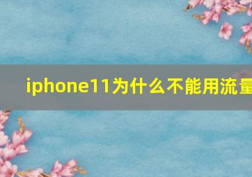 iphone11为什么不能用流量