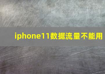 iphone11数据流量不能用