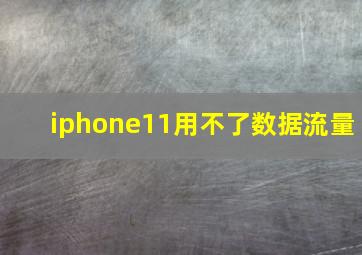 iphone11用不了数据流量