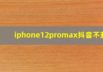 iphone12promax抖音不兼容