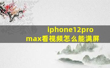 iphone12promax看视频怎么能满屏