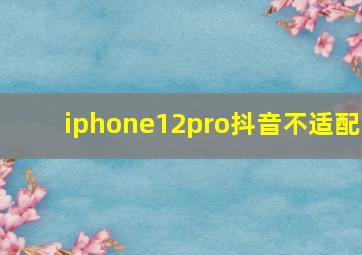 iphone12pro抖音不适配