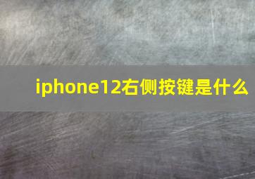 iphone12右侧按键是什么