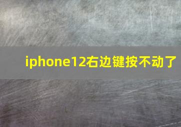 iphone12右边键按不动了