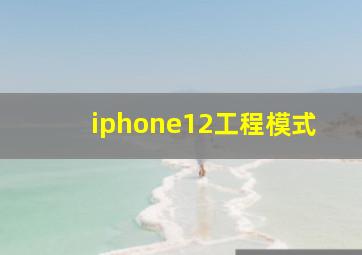 iphone12工程模式