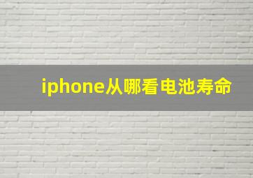 iphone从哪看电池寿命