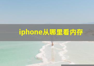 iphone从哪里看内存