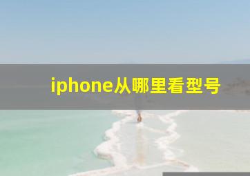 iphone从哪里看型号