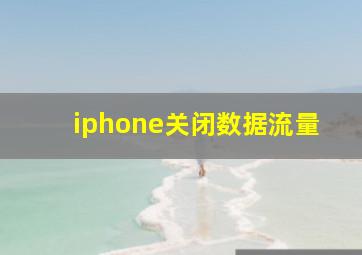 iphone关闭数据流量