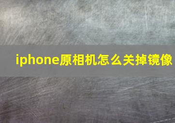 iphone原相机怎么关掉镜像