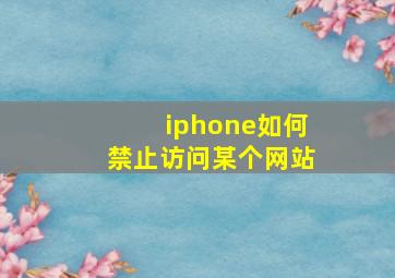 iphone如何禁止访问某个网站