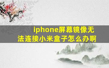 iphone屏幕镜像无法连接小米盒子怎么办啊