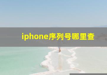 iphone序列号哪里查