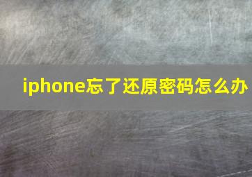 iphone忘了还原密码怎么办