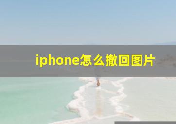 iphone怎么撤回图片